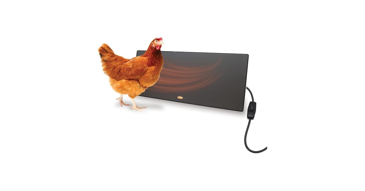 Cozy Coop Flat-Panel Chicken Coop Heater, 150W product image