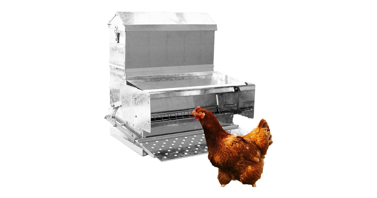 RentACoop Automatic Treadle Feeder, 40 lb product image