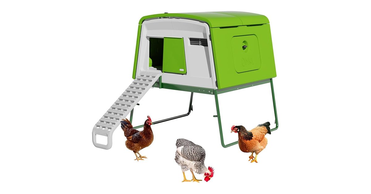Omlet Eglu Cube Large Chicken Coop product image