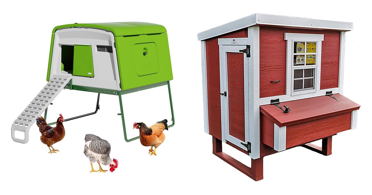 Omlet Eglu Cube Large Chicken Coop and OverEZ Classic Medium Chicken Coop product images