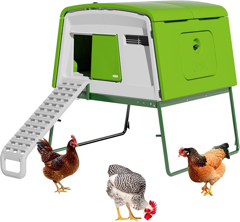Omlet Eglu Cube Large