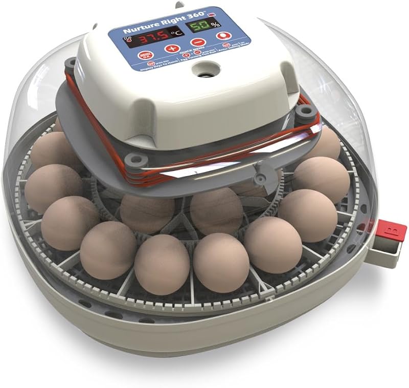 Nurture Right 360 (22 eggs)