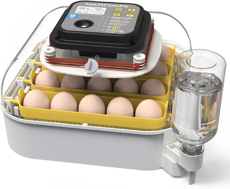 MATICOOPX 20 Egg