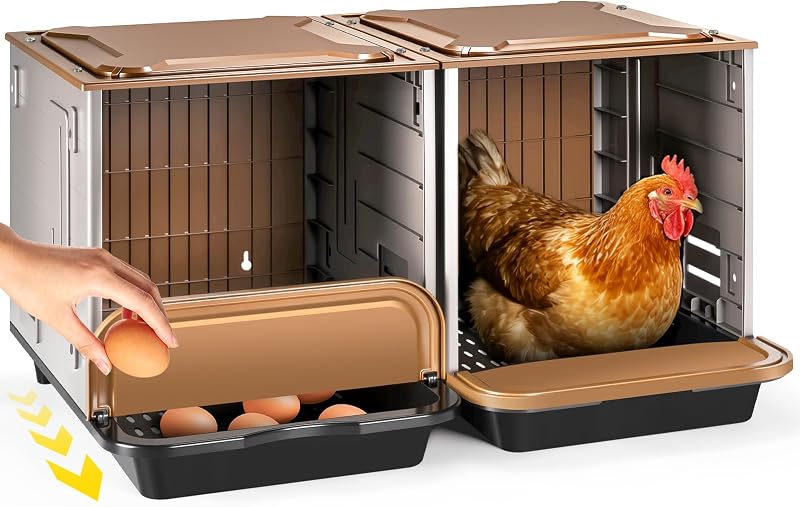 AugFir 2-Compartment Box